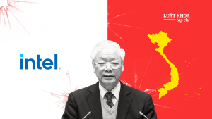 Còn tin ở hoa hồng?