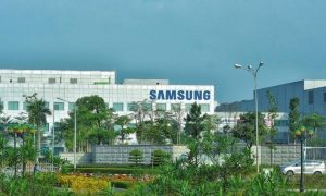 3 lý do khiến các hoạt động môi trường bị đàn áp