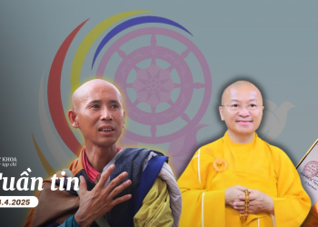 Bị mất việc vì không thích diễu binh; Thích Nhật Từ tố Thích Minh Tuệ giả tu?