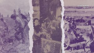 ‘Đi kinh tế mới’ sau ngày ‘giải phóng’: Khai hoang hay lưu đày? Nguồn ảnh: AFP, Getty Images. Đồ họa: Thanh Tường / Luật Khoa.