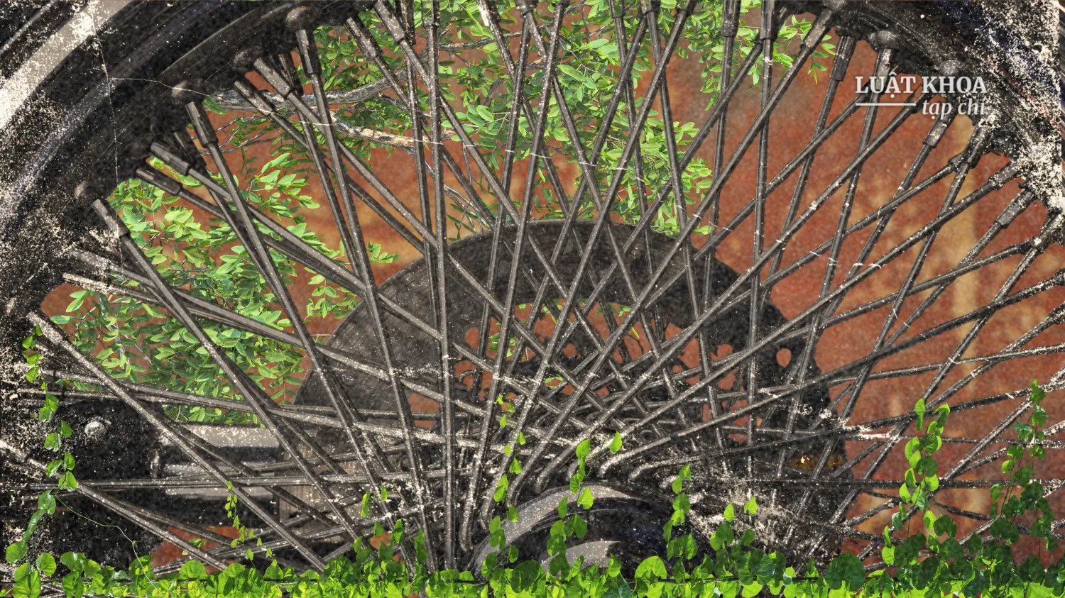 Ảnh minh họa: Thi&ecirc;n T&acirc;n/Luật Khoa.