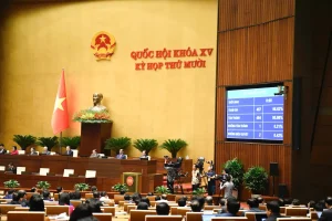 Hội trường Quốc hội chiều ngày 11/12/2025. Ảnh: Website Quốc hội.