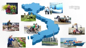 Nguồn ảnh: VGP News, Th. Trường/Báo Người Lao Động, Anh Quyền/Tạp chí Kinh tế và Dự báo, Sài Gòn Tiếp Thị, Nhật Thịnh/Báo Thanh Niên, Báo Tuổi Trẻ. Đồ họa: Thiên Tân/Luật Khoa.