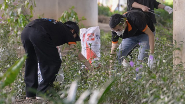 Ảnh minh họa. Nguồn ảnh: VOV Giao thông.